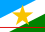 Bandeira do Estado do Roraima